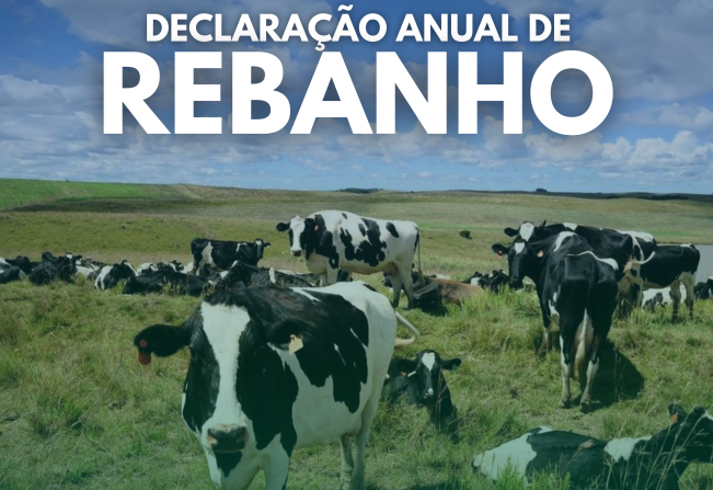 DECLARAÇÃO DE REBANHO TEM PRAZO PRORROGADO PARA 31 DE JULHO