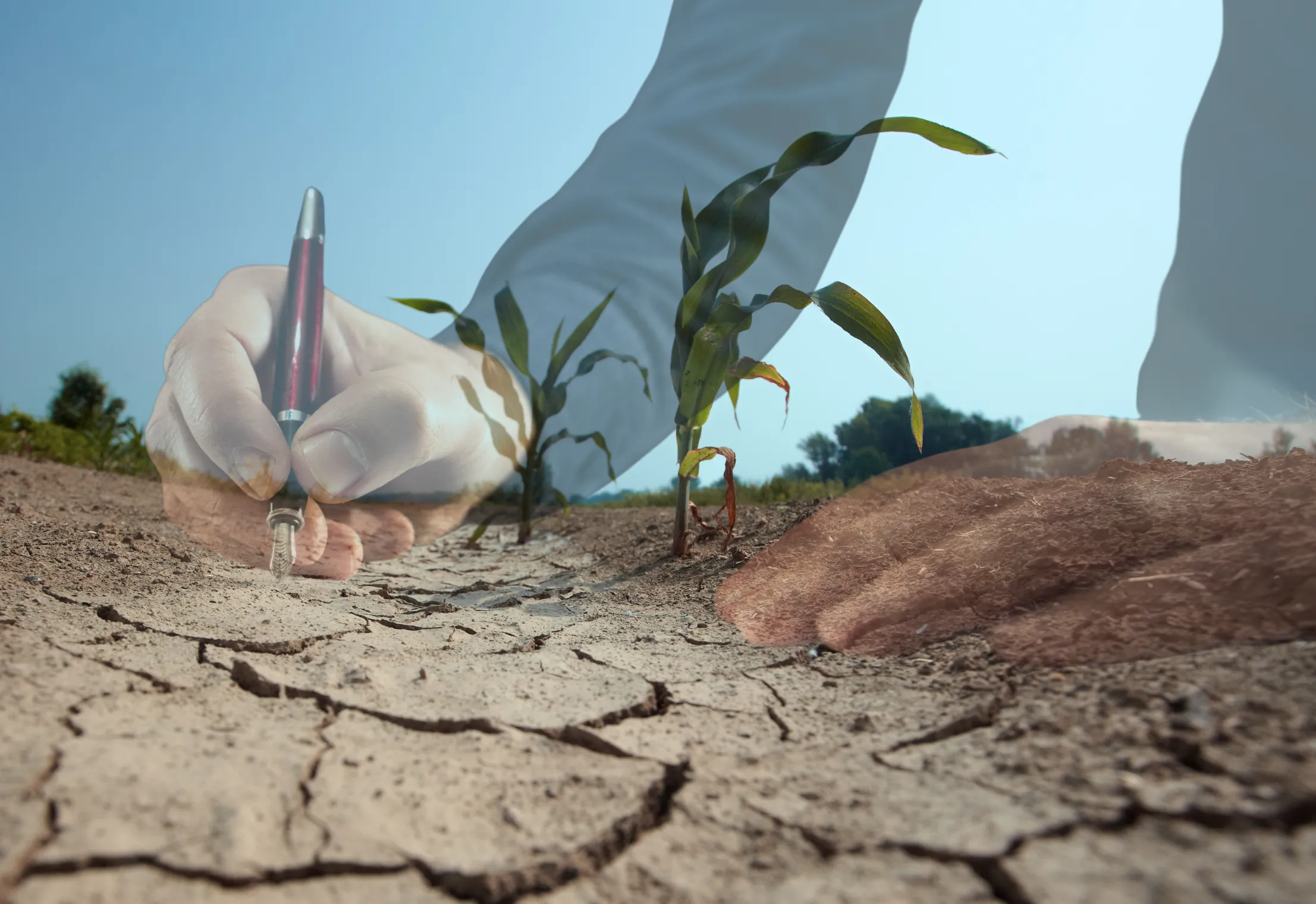 DECRETO N° 3.397, DE 30 DE MARÇO DE 2026